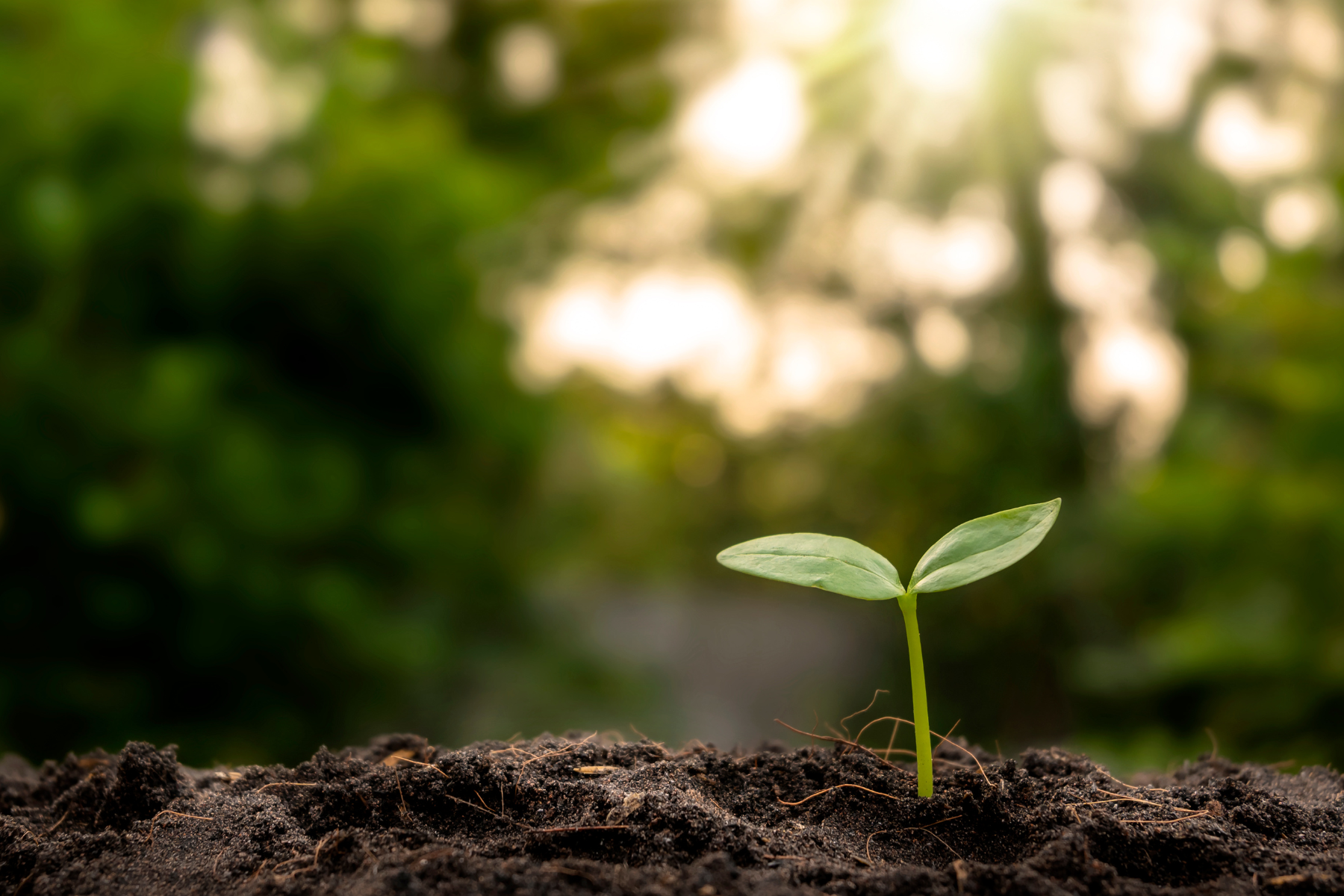 Land Management Consulting Wellman Fence & Land | Land Management Consulting